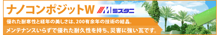 ナノコンポジットW